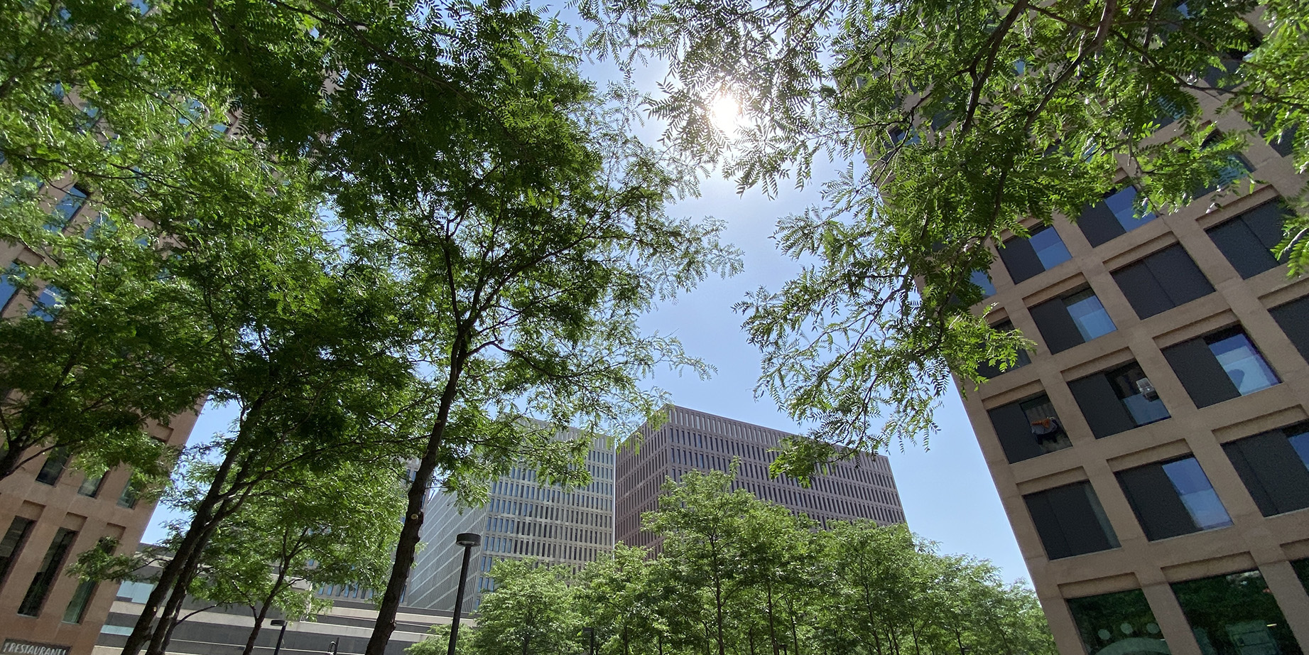 Ciudad de la justicia verde